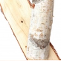 Birch