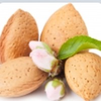 Bitter Almond