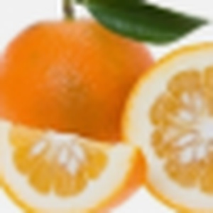 Bitter Orange