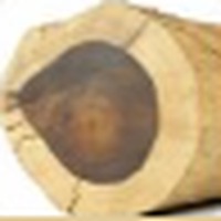 Brazilian Rosewood