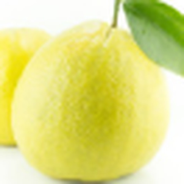 Calabrian Bergamot