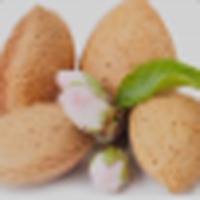 Candied Almond