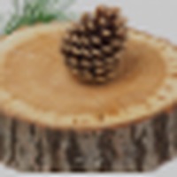 Cedar