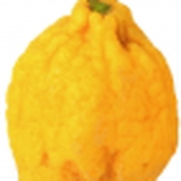 Citron