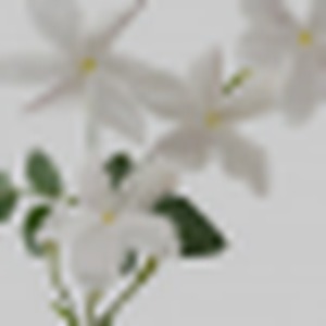 Hedione