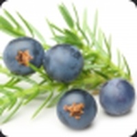 Juniper Berries