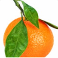 Mandarin Orange