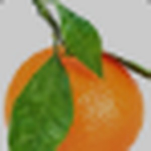 Mandarin Orange