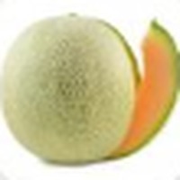 Melon