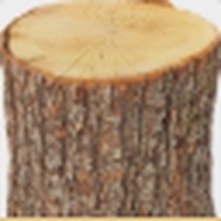 Oak