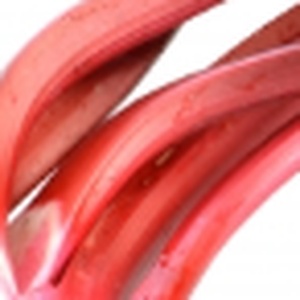 Rhubarb