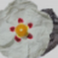 Spanish Labdanum
