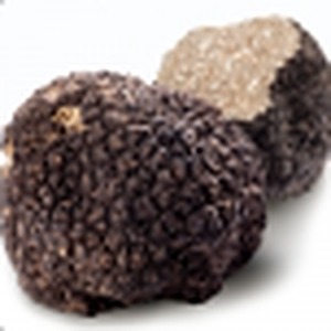 Truffle