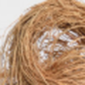 Vetiver