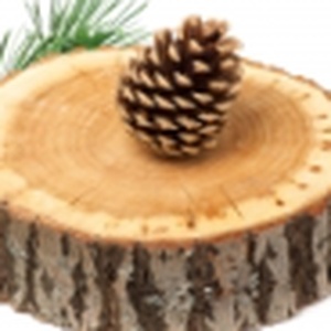 Virginia Cedar